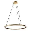 Steinhauer Luminaire à suspension RINGLUX haut bas IP20, or gradable