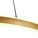 Steinhauer Luminaire à suspension RINGLUX haut bas IP20, or gradable