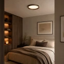 Steinhauer Luminaire de plafond FLADY IP20, gradable