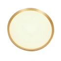 ceiling luminaire FLADY up / down IP20, gold dimmable