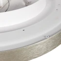 Steinhauer Luminaire de plafond FLADY à 2 flammes IP20, acier gradable