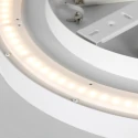 Steinhauer Luminaire de plafond FLADY à 2 flammes IP20, blanche gradable