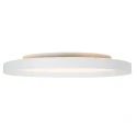 Steinhauer Luminaire de plafond FLADY à 2 flammes IP20, blanche gradable
