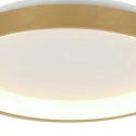 Steinhauer Luminaire de plafond RINGLEDE IP20, or gradable
