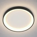 Steinhauer ceiling luminaire RINGLEDE IP20, black dimmable