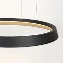 Steinhauer Luminaire à suspension RINGLUX IP20, noir gradable