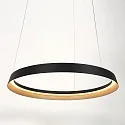 Steinhauer Luminaire à suspension RINGLUX IP20, noir gradable