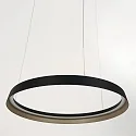 Steinhauer Luminaire à suspension RINGLUX IP20, noir gradable