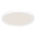 Steinhauer Luminaire de plafond CEILING AND WALL IP44, gradable
