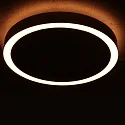 Steinhauer Luminaire de plafond RINGLUX IP20, gradable