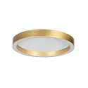Steinhauer Luminaire de plafond RINGLUX IP20, gradable