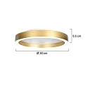 Steinhauer Luminaire de plafond RINGLUX IP20, gradable