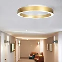 Steinhauer Luminaire de plafond RINGLUX IP20, gradable