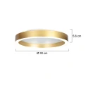 Steinhauer Luminaire de plafond RINGLUX IP20, gradable