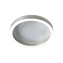 Steinhauer ceiling luminaire RINGLUX IP20, dimmable