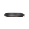 Steinhauer Luminaire de plafond RINGLUX à 2 flammes IP20, noir gradable