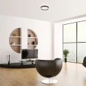 Steinhauer Luminaire de plafond RINGLUX à 2 flammes IP20, noir gradable
