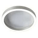 Steinhauer ceiling luminaire RINGLUX IP20, dimmable