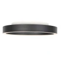 Steinhauer Luminaire de plafond RINGLUX IP20, gradable
