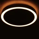 Steinhauer Luminaire de plafond RINGLUX IP20, gradable
