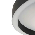 Steinhauer Luminaire de plafond RINGLUX IP20, gradable