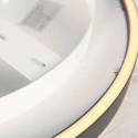 Steinhauer Luminaire de plafond RINGLUX IP20, gradable