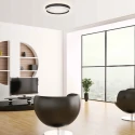 Steinhauer Luminaire de plafond RINGLUX IP20, gradable