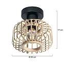 Steinhauer Luminaire de plafond BLOEBA E27 IP20, gradable