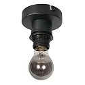 Steinhauer Luminaire de plafond BLOEBA E27 IP20, gradable