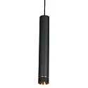 Steinhauer Luminaire à suspension DOWNLUME GU10 IP20, gradable
