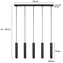Steinhauer Luminaire à suspension DOWNLUME GU10 IP20, gradable