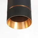 Steinhauer Luminaire à suspension DOWNLUME GU10 IP20, gradable