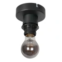 Mexlite Luminaire de plafond BLOEBA E27 IP20, gradable