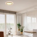 Steinhauer Luminaire de plafond FLADY à 2 flammes IP20, or gradable