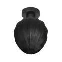 Luminaire de plafond SILURA à 1 flamme E27 IP20, noir gradable