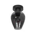 ceiling luminaire DROVIA 1 flame E27 IP20, black dimmable
