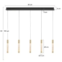 Steinhauer Luminaire à suspension ALISIO IP20, gradable