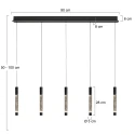 Steinhauer Luminaire à suspension ALISIO IP20, gradable