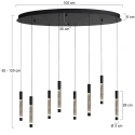 Steinhauer Luminaire à suspension ALISIO IP20, gradable