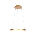 Steinhauer Luminaire à suspension RINGLEDE à 1 flamme IP20, or gradable
