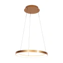 Steinhauer Luminaire à suspension RINGLEDE à 1 flamme IP20, or gradable