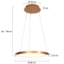 Steinhauer Luminaire à suspension RINGLEDE à 1 flamme IP20, or gradable