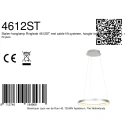 Luminaire à suspension RINGLEDE à 1 flamme IP20, acier gradable