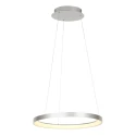 Steinhauer Luminaire à suspension RINGLEDE à 1 flamme IP20, acier gradable
