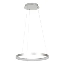 Steinhauer Luminaire à suspension RINGLEDE à 1 flamme IP20, acier gradable