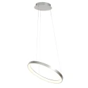 Steinhauer Luminaire à suspension RINGLEDE à 1 flamme IP20, acier gradable