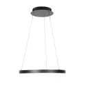 Steinhauer Luminaire à suspension RINGLEDE à 1 flamme IP20, noir gradable