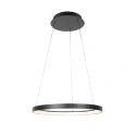 Steinhauer Luminaire à suspension RINGLEDE à 1 flamme IP20, noir gradable