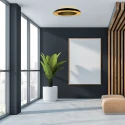 Steinhauer Luminaire de plafond GOLDEN VEIL à 2 flammes IP20, noir gradable