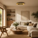 Steinhauer Luminaire de plafond GOLDEN VEIL à 2 flammes IP20, noir gradable